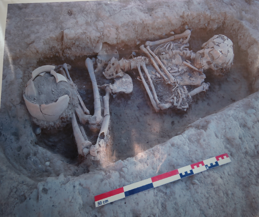 ABD ekibi aynı döneme ait insan iskeletleri ile mezarlar buldu. AA